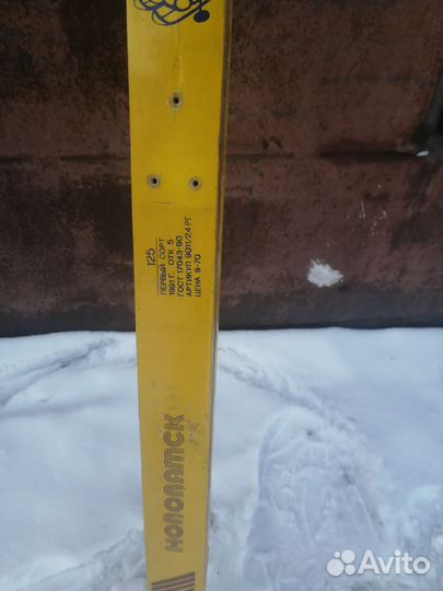 Беговые лыжи