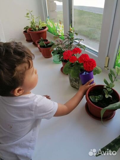 Частный детский садик