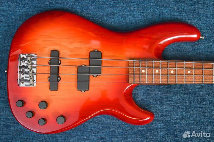 Fender Deluxe Zone Bass