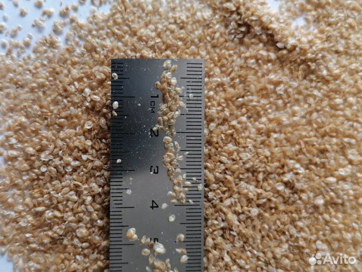 Гаммарус мелким оптом