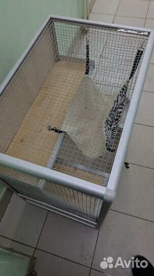 Клетка для крыс