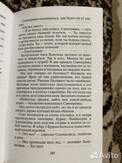 Коты-воители:пророчество синей звезды (выбор)