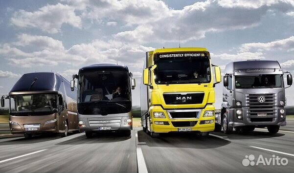 Автоэлектрик 24v выезд