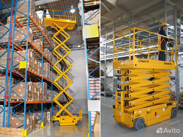 Пиканиска в аренду