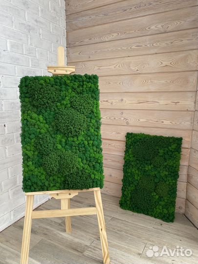 Панели из стабилизированного мха