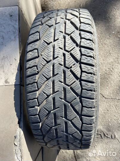 Tigar Winter 225/45 R17 94H