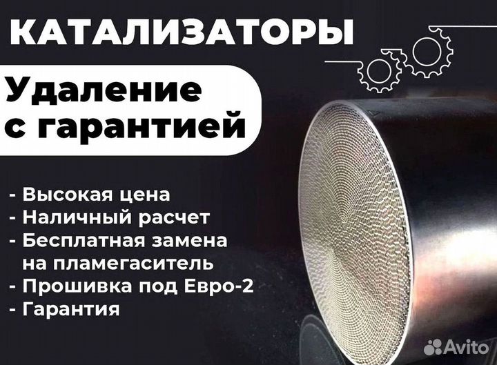 Удаление катализатора бесплатно/ чип тюнинг евро 2