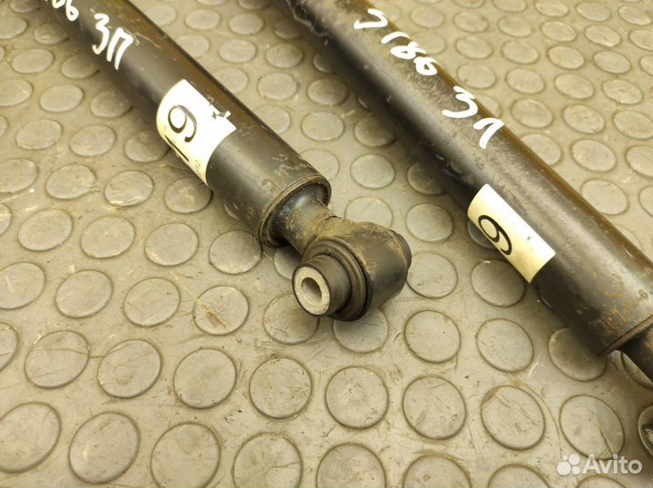 Амортизаторы комплект задние Mercedes-Benz W246