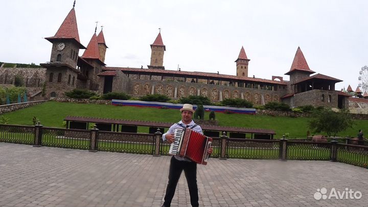 Аккордеонист Баянист Гармонист на праздники