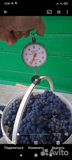 Виноград, Изабелла,на вино,компот