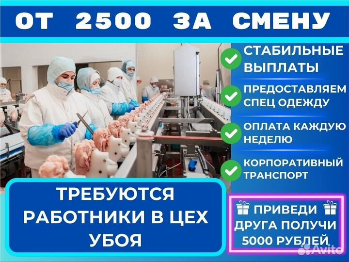 Сотрудники на птице фабрику без опыта