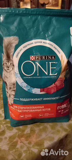 Кошачий сухой корм