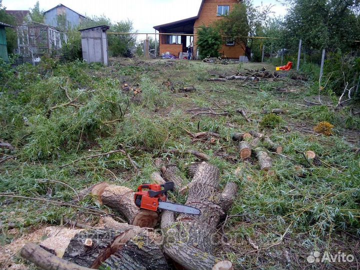 Расчистка участка в Егорьевске