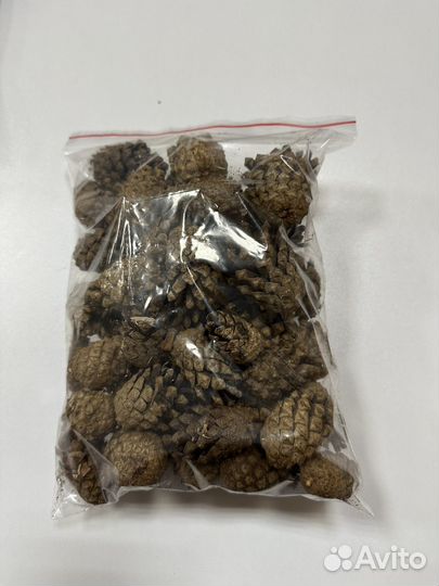 Шишки сосновые