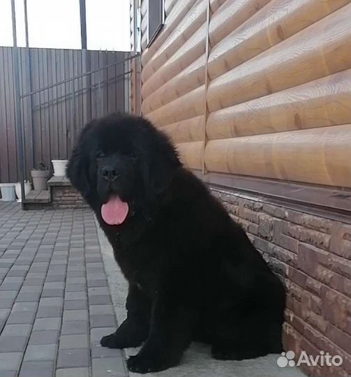 Супер мальчуган