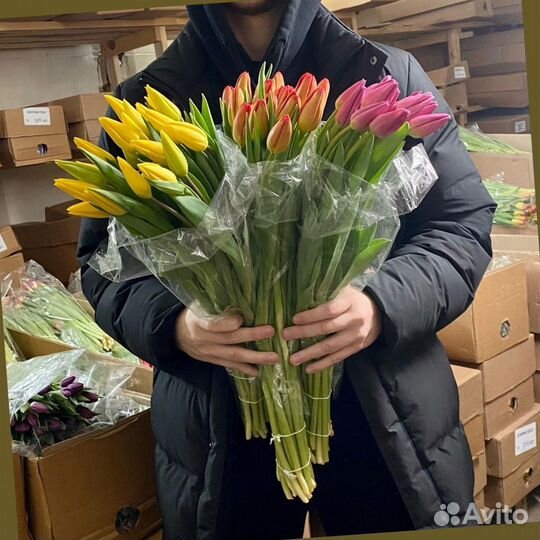 Тюльпаны от производителя