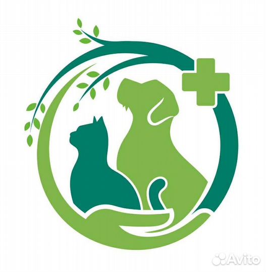 Консультация ветеринара онлайн