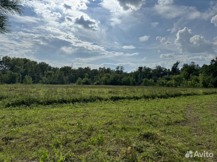 Сено бесплатно