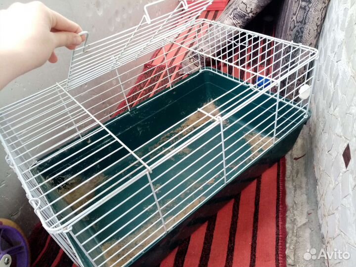 Клетки для попугаев, крыс, хомяков, дэгу и харьков