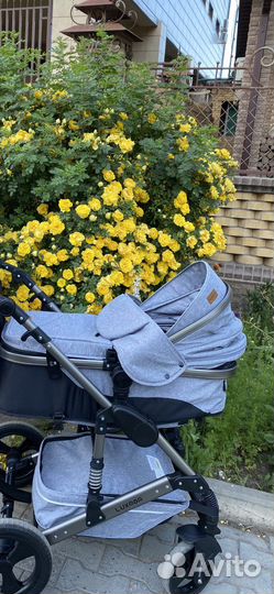 Коляска 2 в 1 luxmom