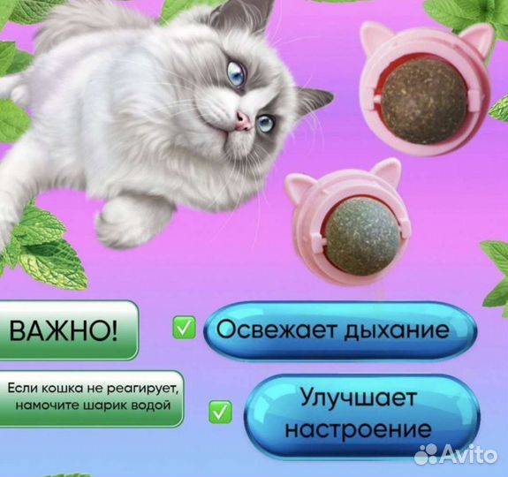 Кошачья мята