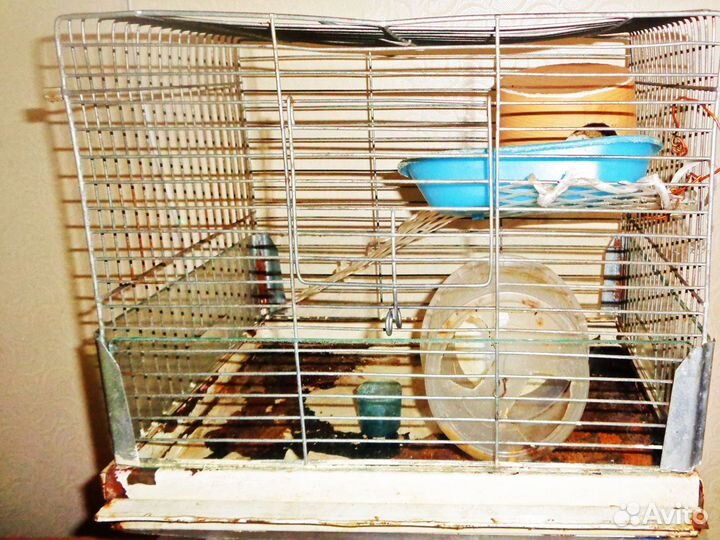 Старая клетка для птиц или хомяков