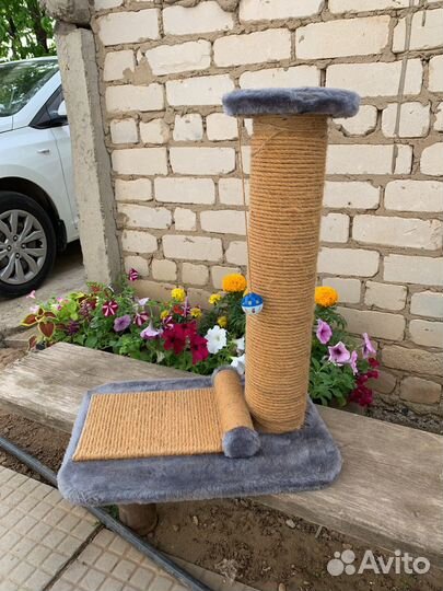 Когтеточка