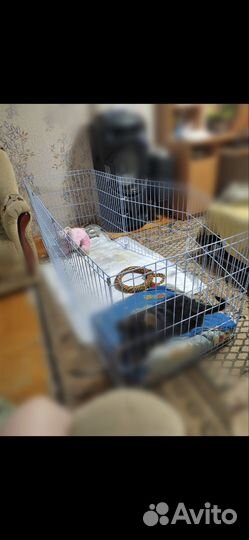 Вольер клетка для животных собак, кошек, кроликов