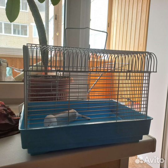 Клетка для хомяка бу