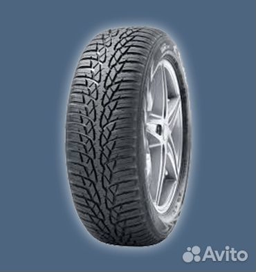 Nokian Tyres WR D4 225/55 R16 99H