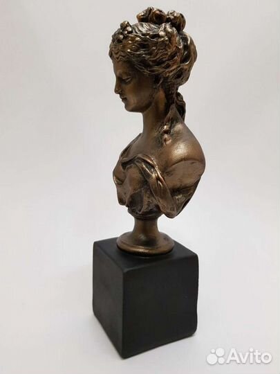 Бюст девушки