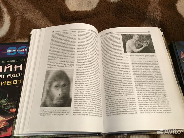 Загадочные животные