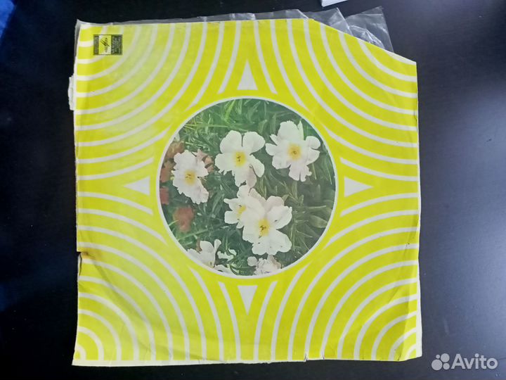 Виниловые пластинки