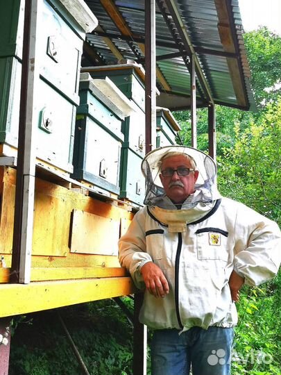 Пчелосемьи и пчелопакеты