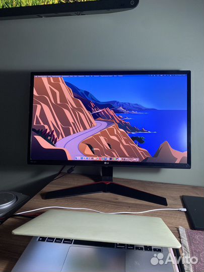 Монитор LG 24MP59G-P