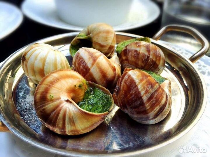 Улитки виноградные