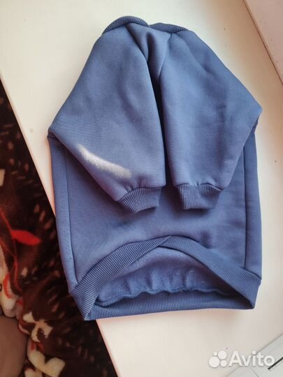 Худи для собак