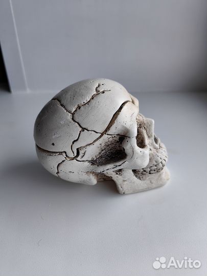 Череп пепельница шкатулка