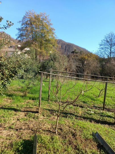 Участок 7 сот. (ИЖС)