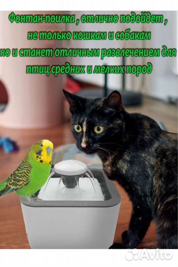 Фонтан-поилка для животных