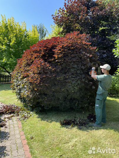 Садовник озеленитель