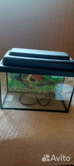 Аквариум 10л