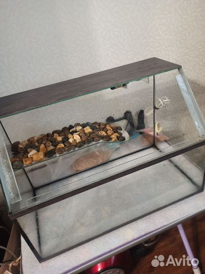 Террариум для черепахи