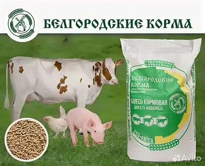 Белгородские Комбикорма