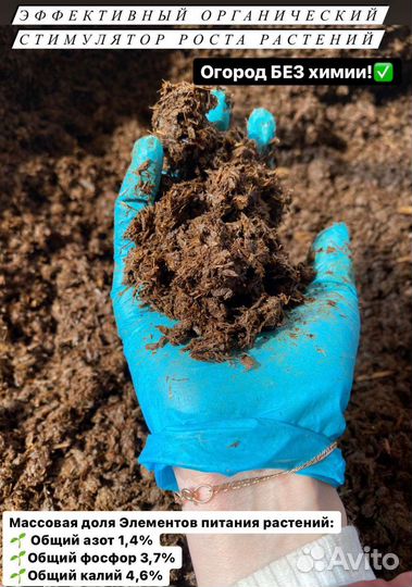 Конский перегной