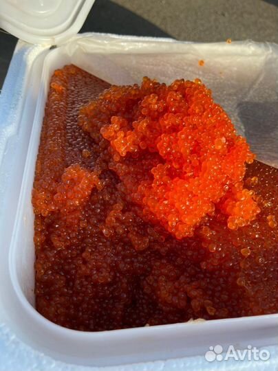 Красная икра оптом. Камчатка