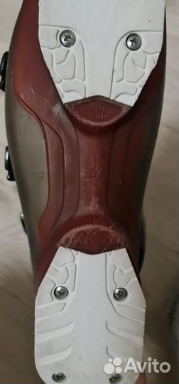 Горнолыжные ботинки dalbello viper