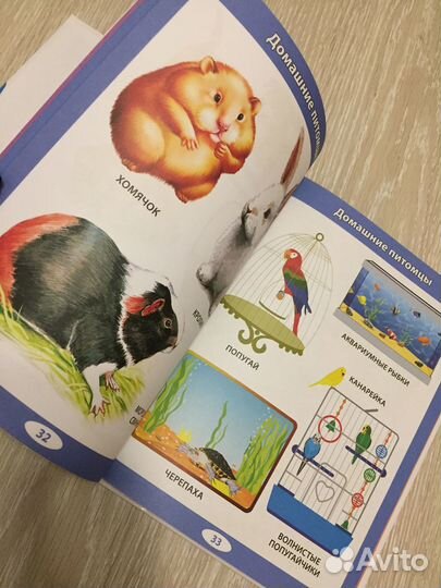 Первая детская энциклопедия от 6 месяцев до 3 лет