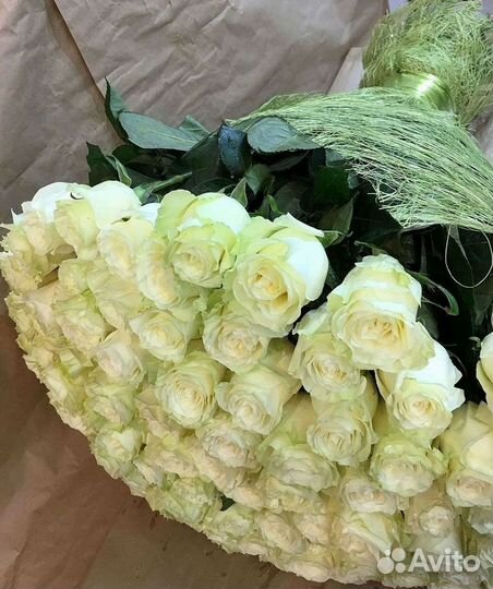 Розы Цветы Букеты 25 51 151 201 101 301 501 опт