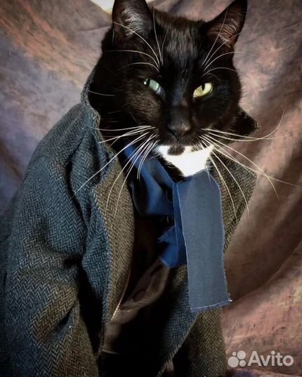 Продам ООО с оборотами и без долгов